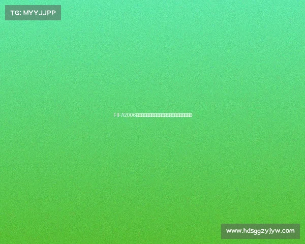 FIFA2006世界杯经典回顾与绿茵传奇再现足球盛宴巅峰时刻